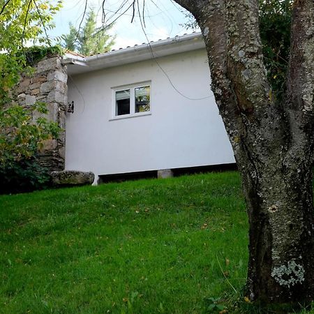 Casa Do Galo / Galo House Βίλα Vimioso Εξωτερικό φωτογραφία