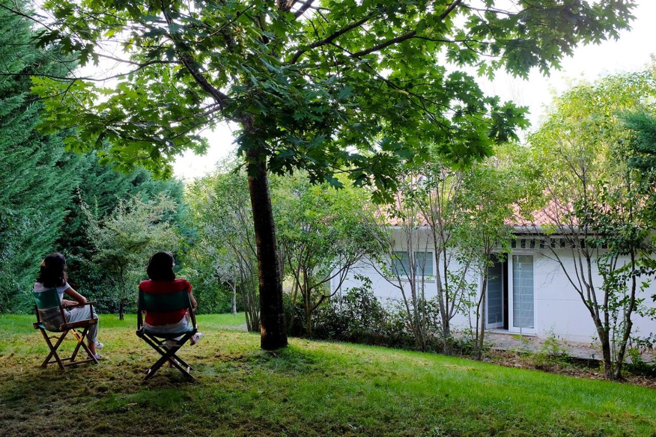 Casa Do Galo / Galo House Βίλα Vimioso Εξωτερικό φωτογραφία